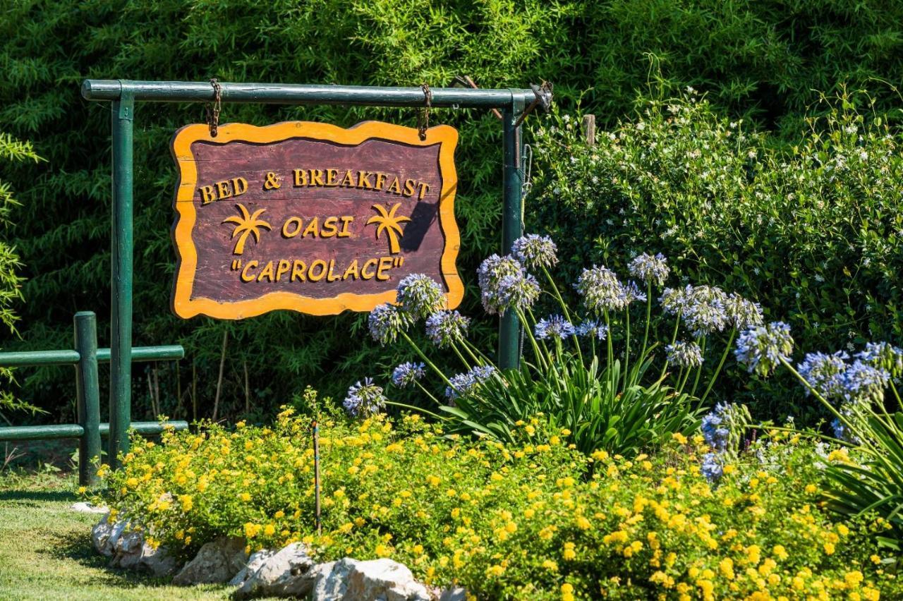 Oasi Caprolace サバウディア エクステリア 写真